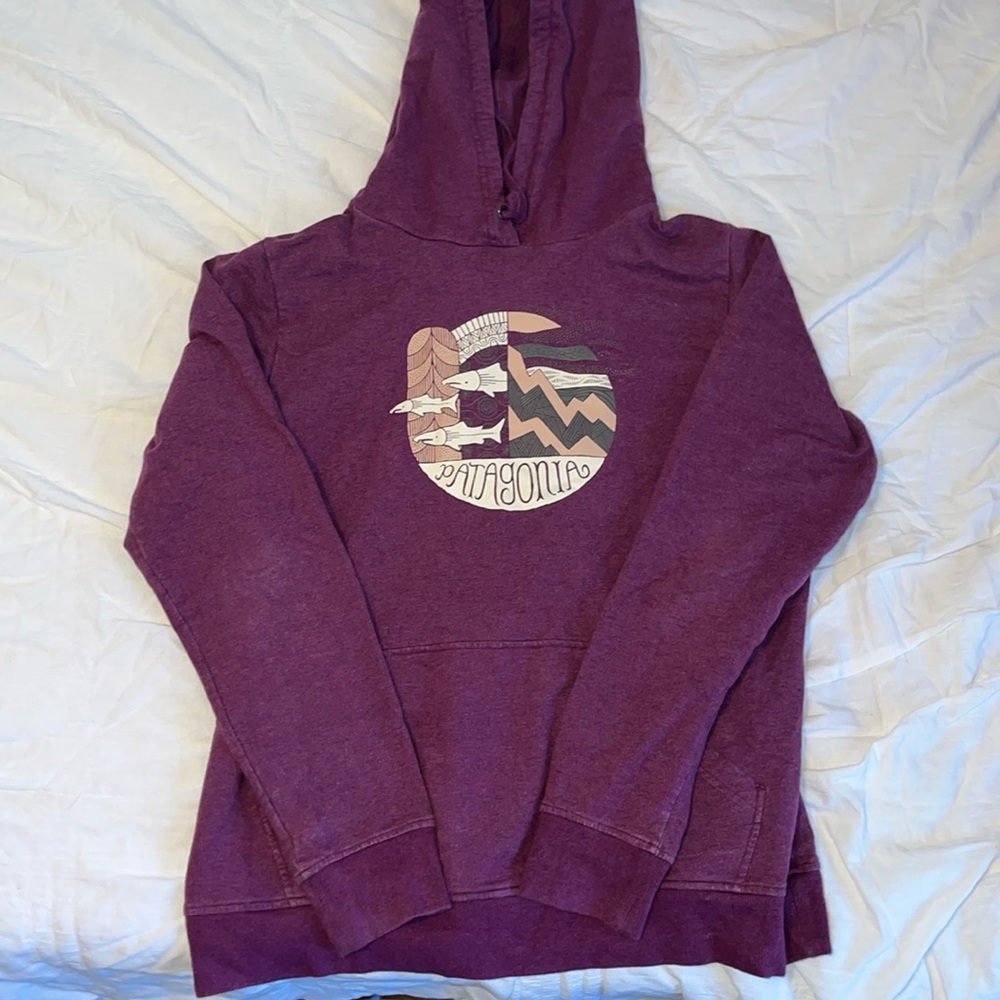 Patagonia sweatshirt